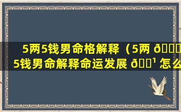 5两5钱男命格解释（5两 🐒 5钱男命解释命运发展 🌹 怎么样）